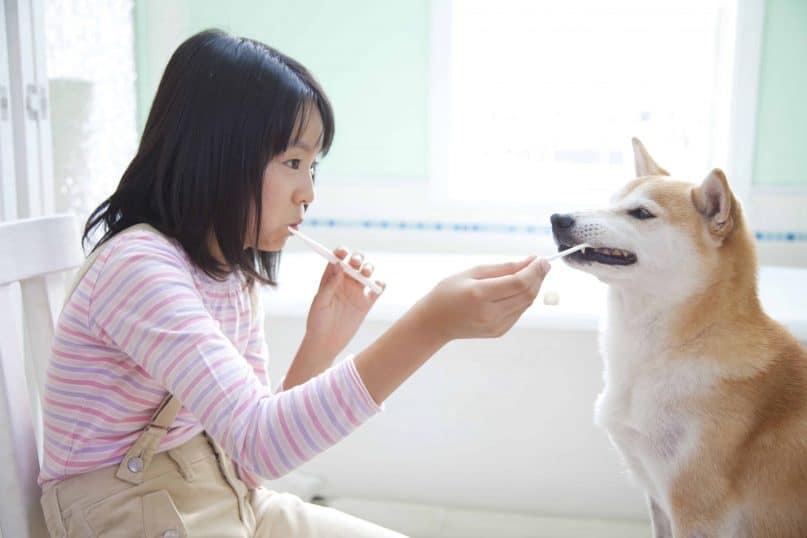 Brush Your Pets Teeth