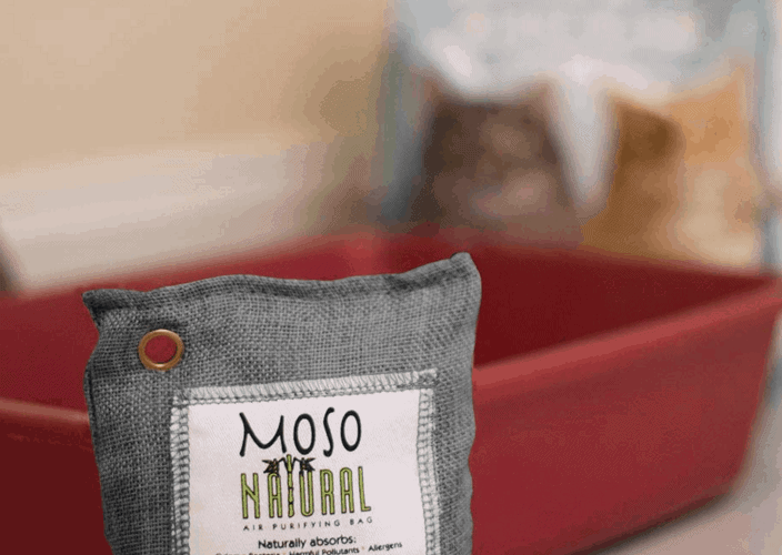 Air Purifying Bags for pets