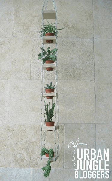 Bathroom Decor Idea:  Hanging Planters