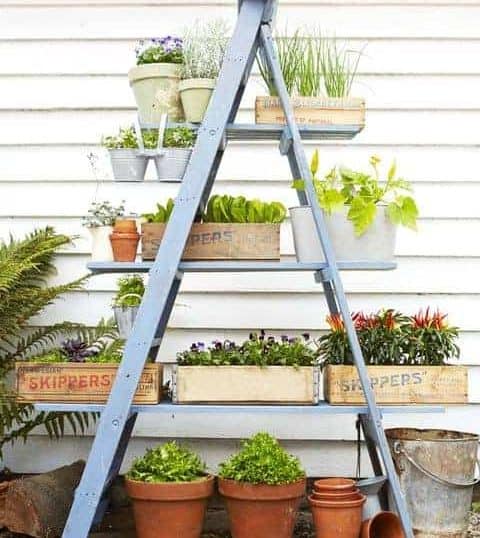 Vintage Ladder Plant Stands