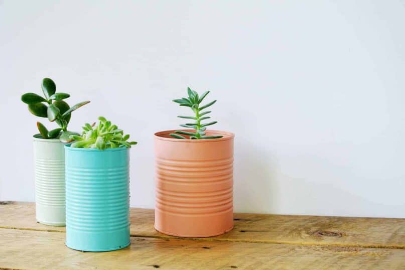 Vintage Coffee Can Planters