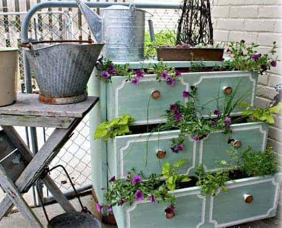 Vintage Dresser Drawer Planter