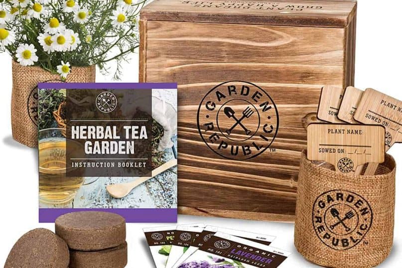 Herbal Tea Growing kit 