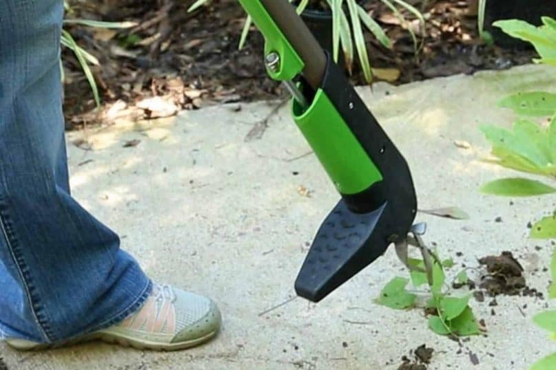 standing weeder for Family Garden