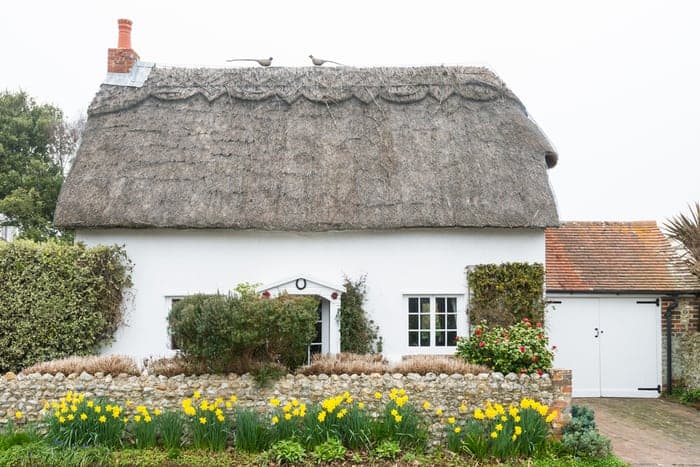 Thatch Roofs