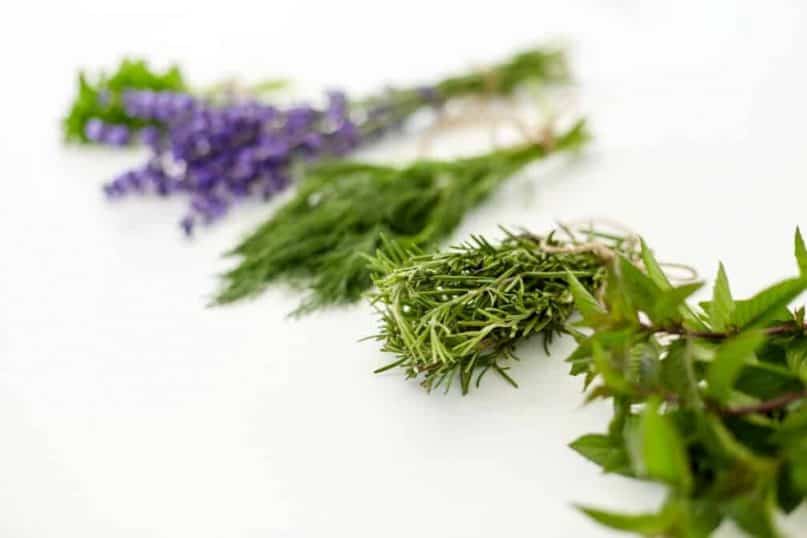 Treat Your Herbs Like Flowers