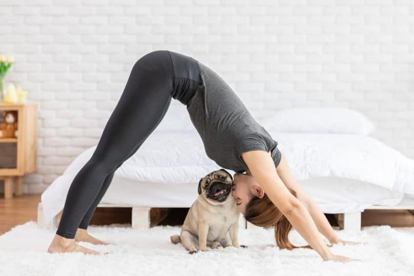 Get Active In Downward Facing Dog