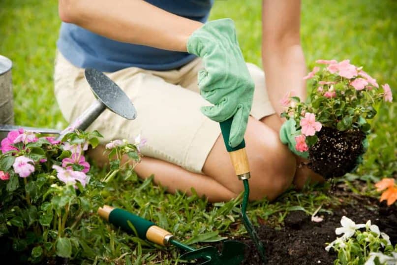 Go out and start gardening