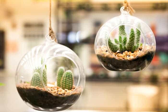 Hanging Terrariums in easy DIY projects