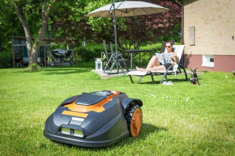 Lawn mowing robot: smartest homes