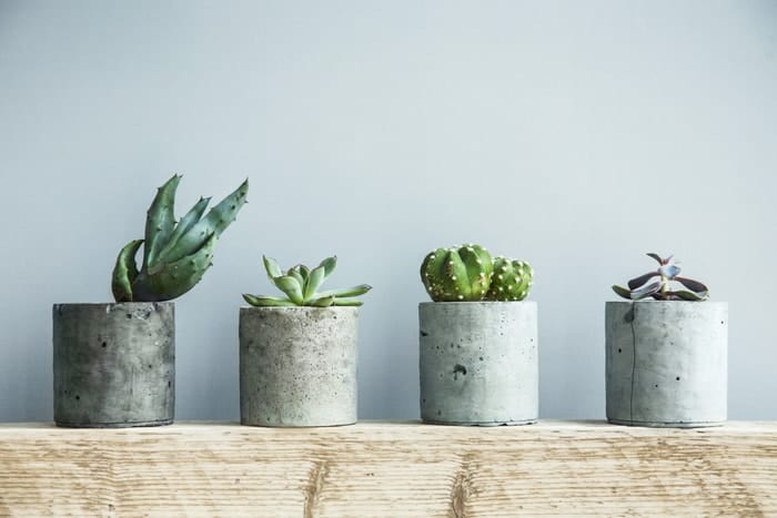 Concrete Planters in easy DIY projects