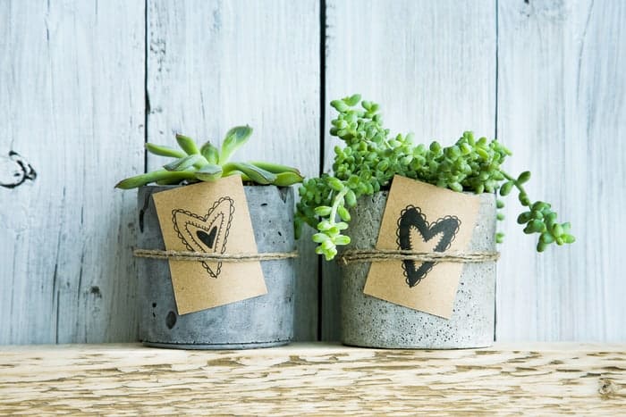 Concrete Planters in easy DIY projects