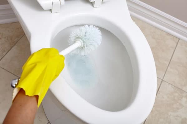 Drip Dry Your Toilet Brush