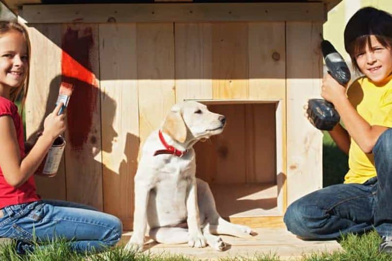 How to Build a DIY Dog House that Your Pet Don’t Ever Want to Leave!