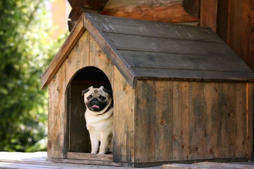 DIY Dog House 