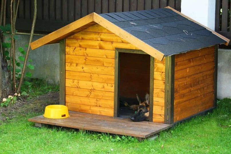 DIY Dog House 