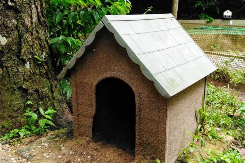 DIY Dog House 