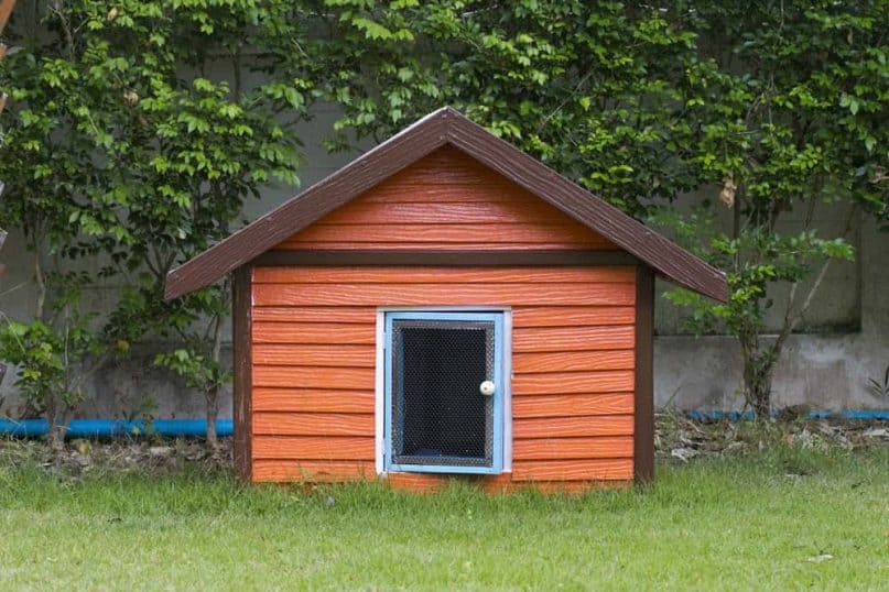 DIY Dog House 