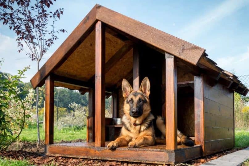 DIY Dog House 