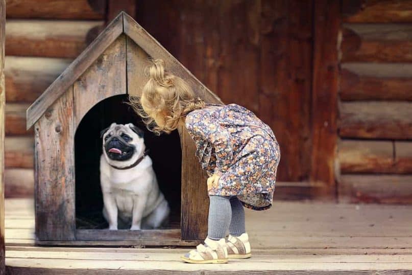 DIY Dog House 