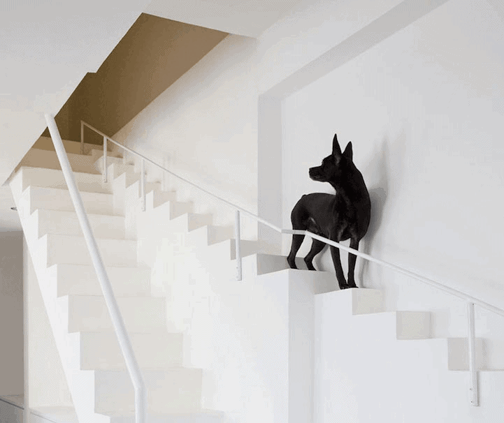 Specialty Pet Stairs in Mind-Blowing Architectural Designs