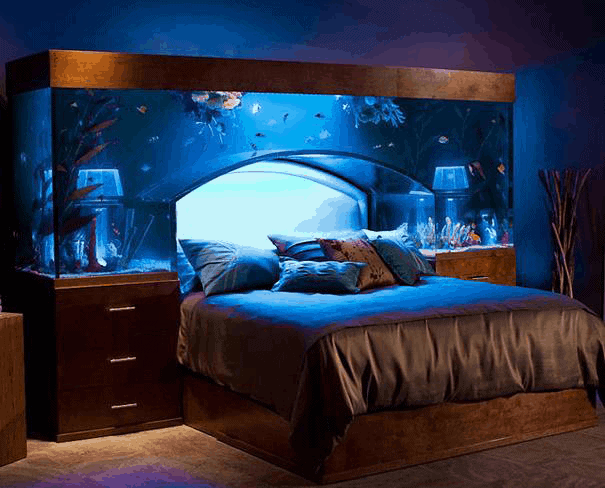 Aquatic bed in Mind-Blowing Architectural Designs