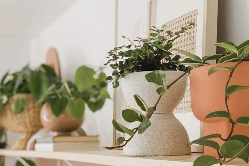 This wonderfully sculpted planter pot is made from two dollar tree bowls