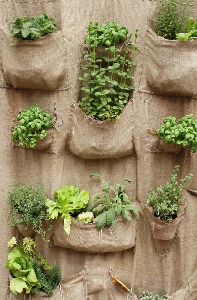 Vertical herb gardens