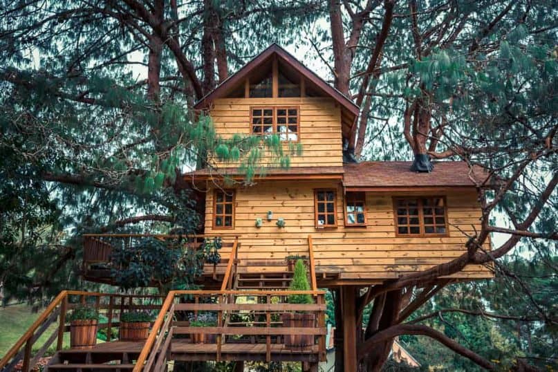 Building a house around a tree