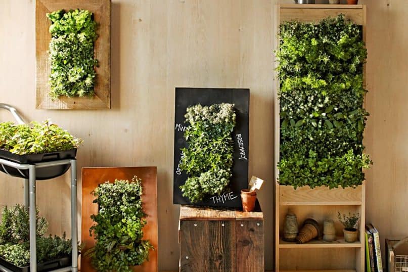 Vertical garden