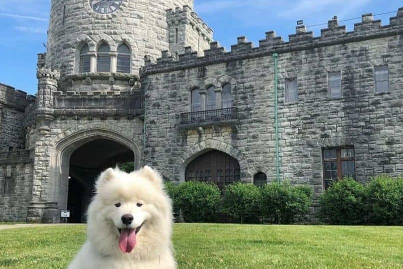 Gould castle