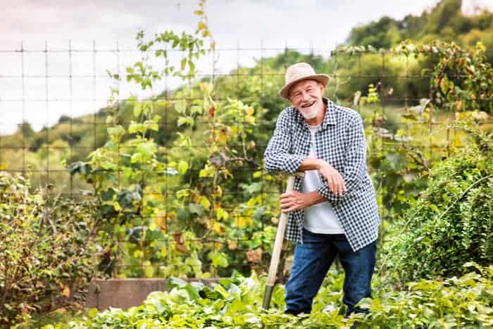 Gardening is good for your heart and soul.