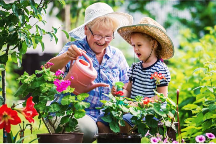 Gardening can help reduce Risk of Dementia and Alzheimer’s 