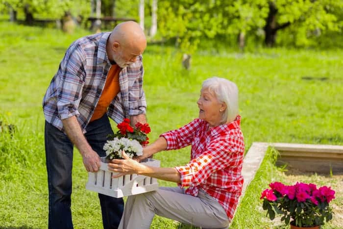 Gardening can help to decrease osteoporosis.