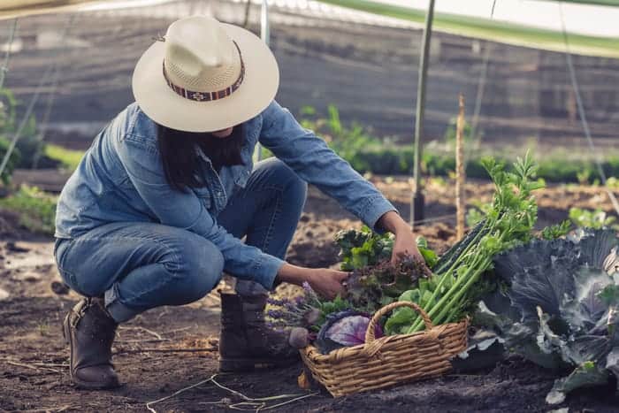 When you are gardening, breath the clean air