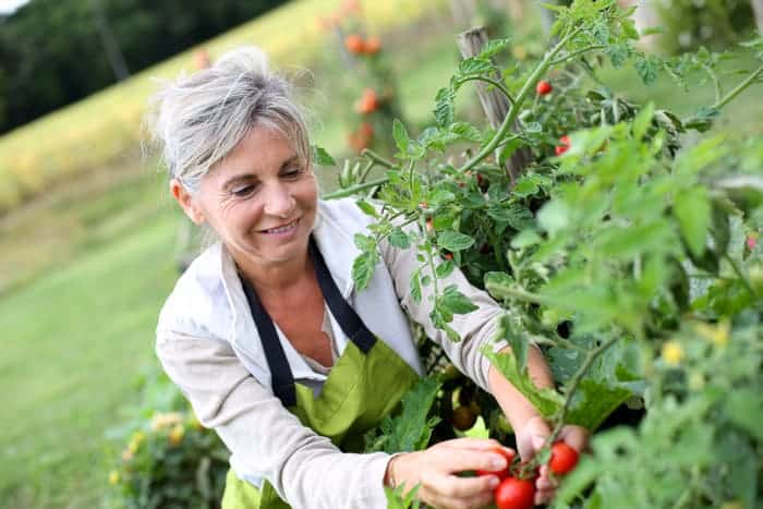 Gardening can help to decrease osteoporosis.