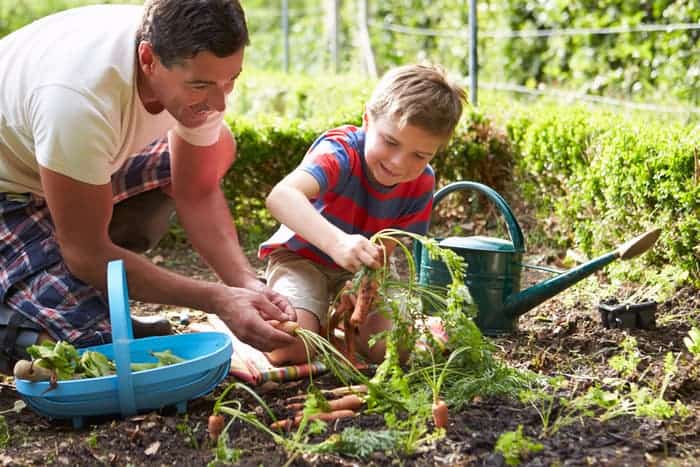 Gardening can help reduces Levels of Anger