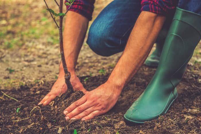 Planting in the garden is a great way to get cardio activity