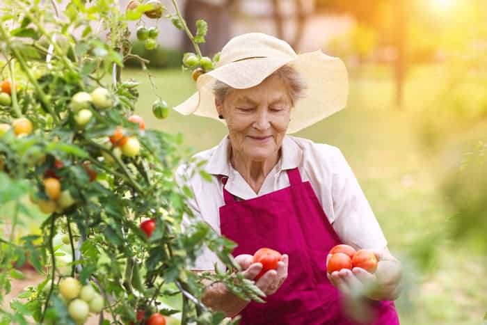 Gardening can reduce the risk of stroke