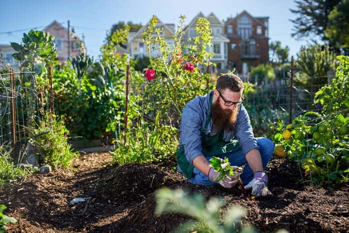 Gardening can help reduces Levels of Anger