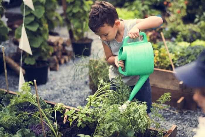 Gardening is great for kids who are learning about responsibility.