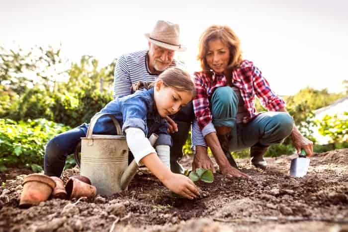 Gardening can help you become Present and Live in the Moment