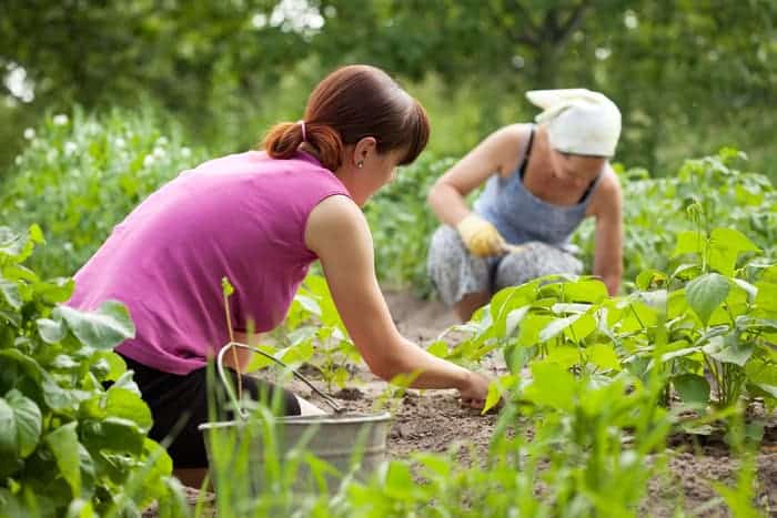 Gardening burns a lot of calories.