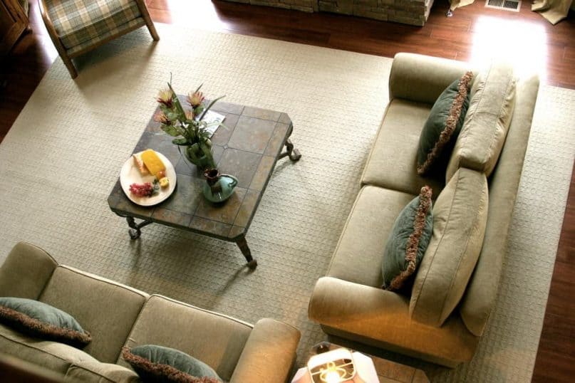 Find a large rug in living room