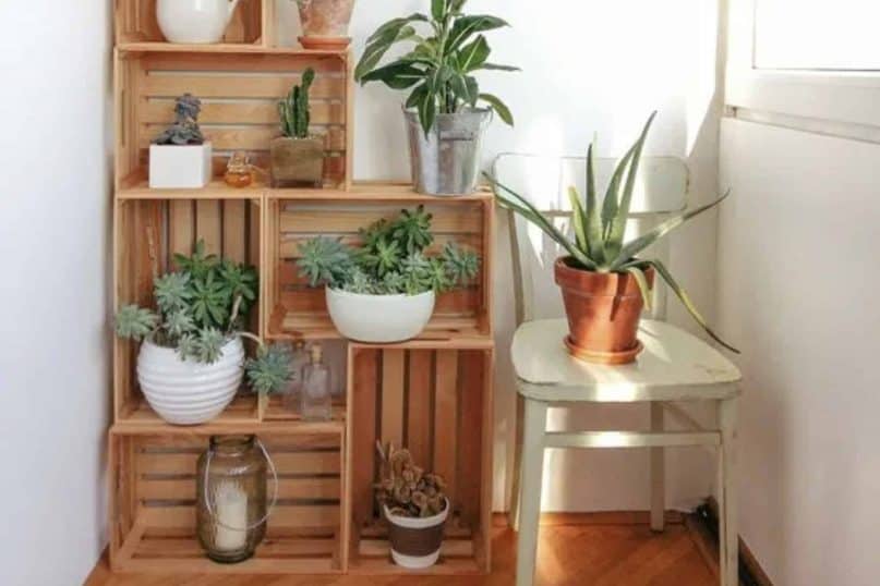 Stacking crates for your plants to build a shelf 