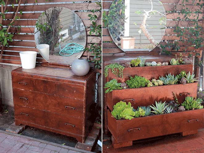 Old Dresser into a Planter Succulent