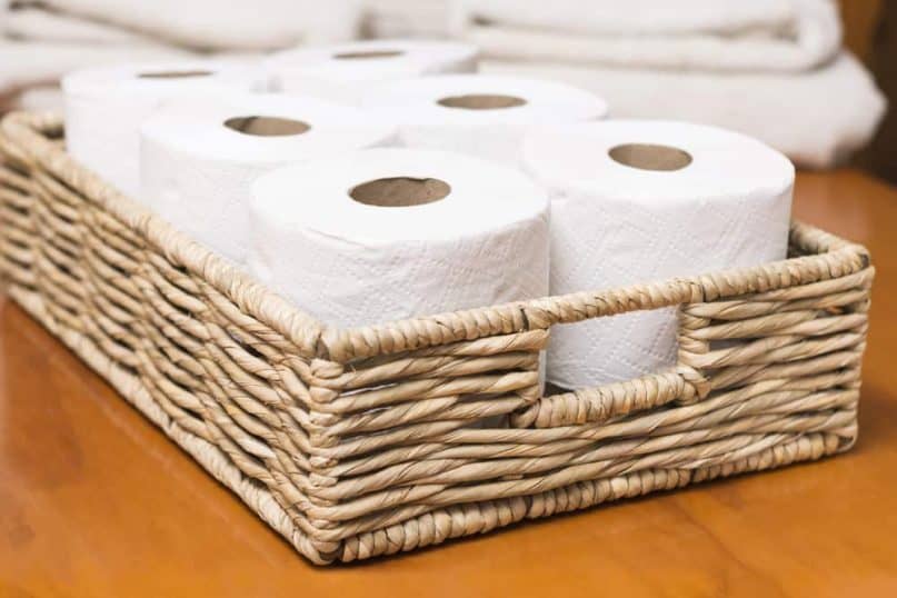 toilet paper rolls