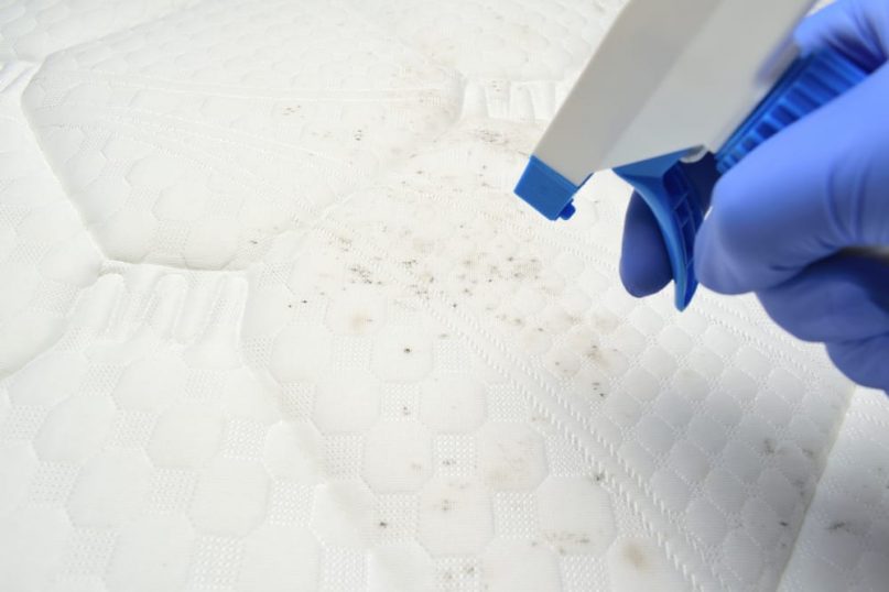 More Mattress Cleaning Advice