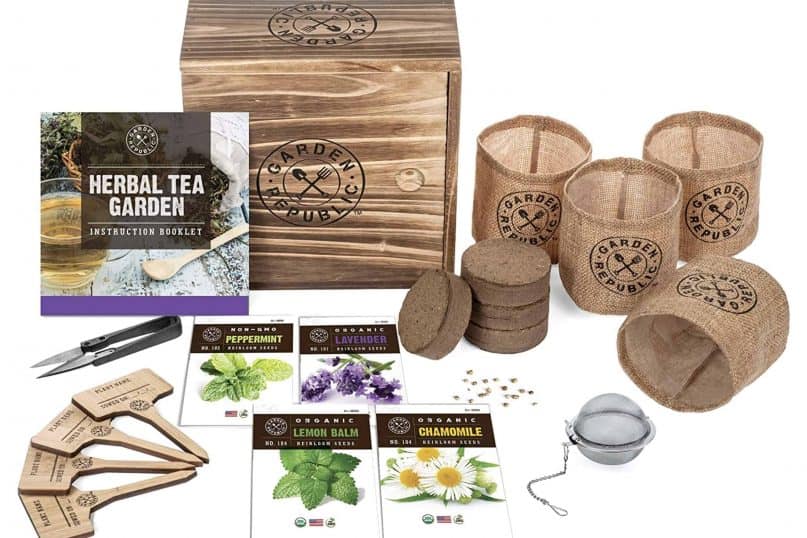 Tea growing kits
