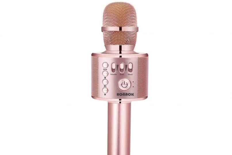 Karaoke Microphone 